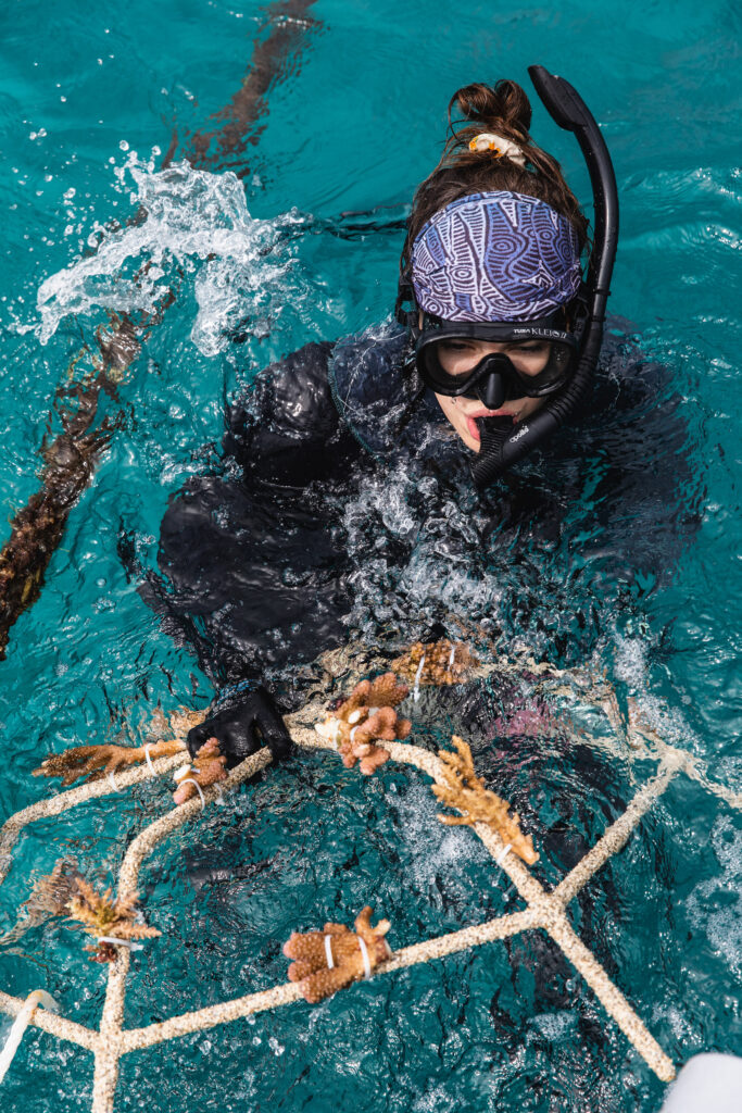 Urlauber können am Great Barrier Reef aktiv an der Restaurierung beschädigter Korallenriffe teilnehmen.